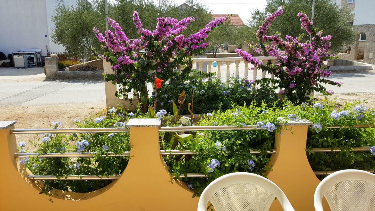 شقة Marina بيوغْغاد نا موغو المظهر الخارجي الصورة